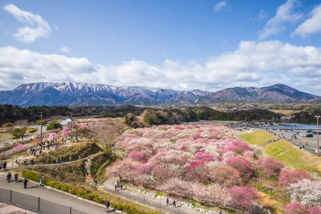 いなべ市