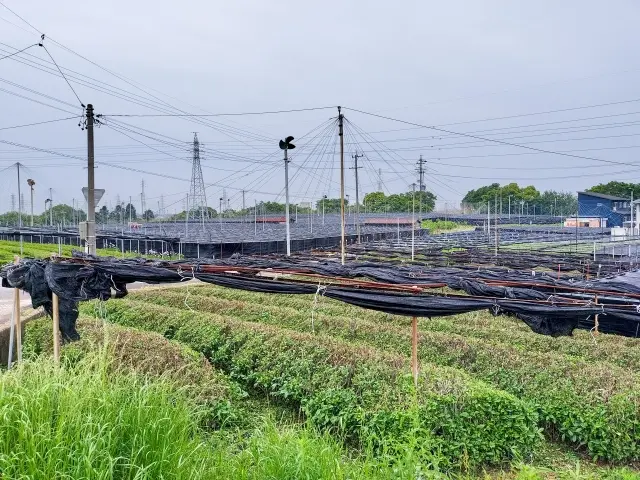 西尾市
